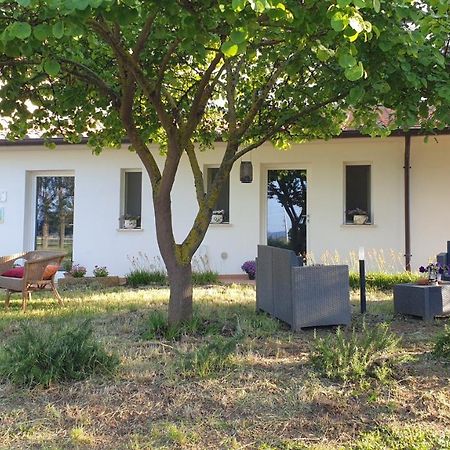 Agriturismo Podere Il Fitto Campiglia Marittima Esterno foto