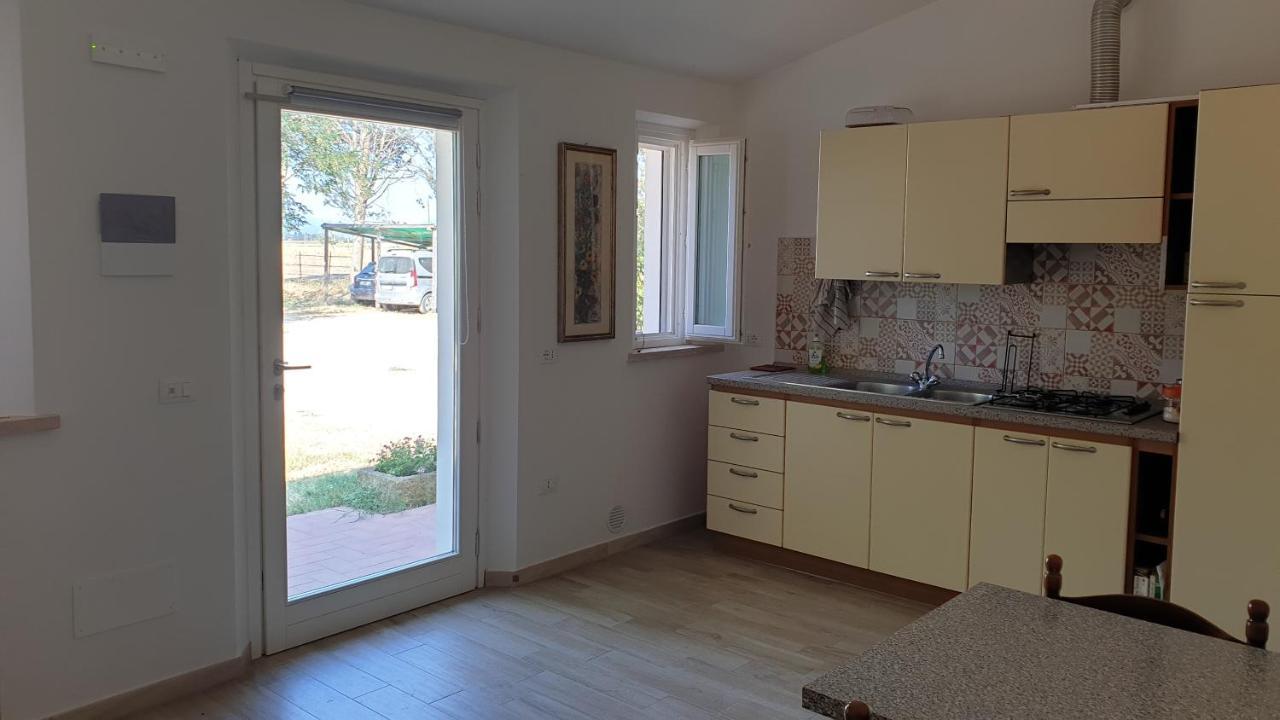 Agriturismo Podere Il Fitto Campiglia Marittima Esterno foto
